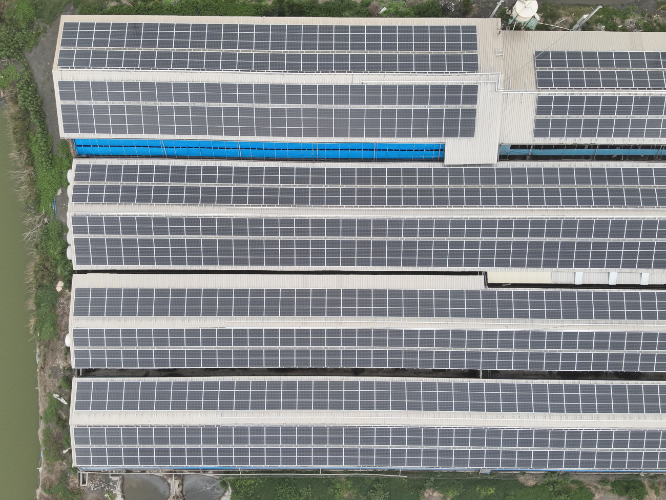 鼎*畜牧場，彰化縣，493.35 kWp